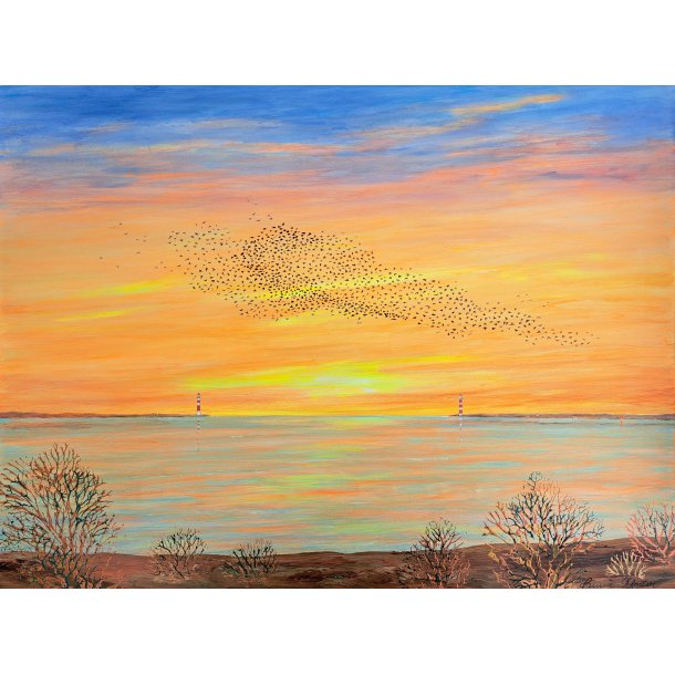 Sort Sol 60x80 cm