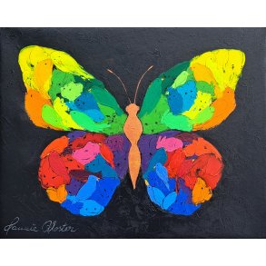 Freedom 40x50 - find de skjulte dyr i sommerfuglen
