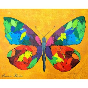 I'm flying 40x50 - find de skjulte dyr